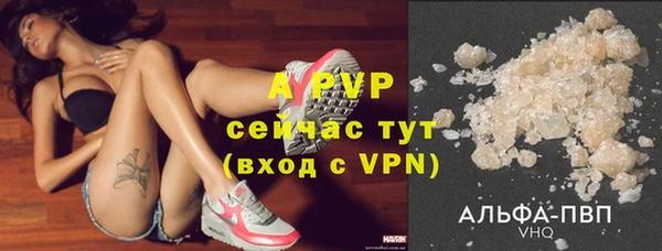 a pvp Алзамай