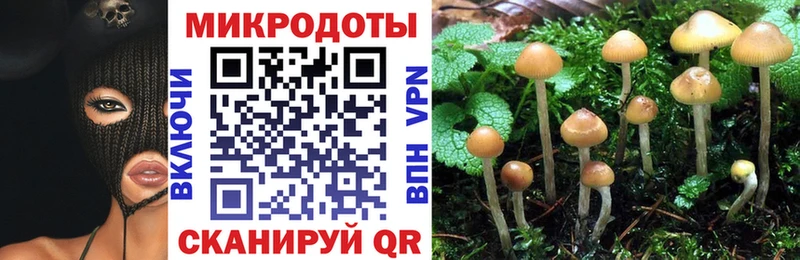 Псилоцибиновые грибы MAGIC MUSHROOMS  Усть-Лабинск 